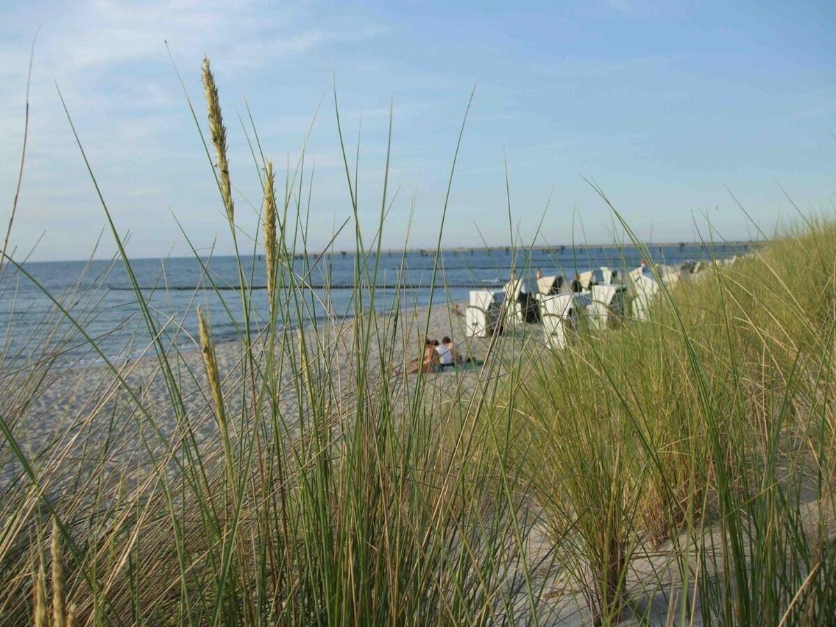 Discovair Graal Mueritz -Haus Quisisana- Strandnah Mit Netflix Esterno foto